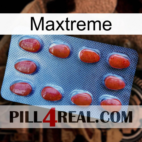 Maxtreme 06